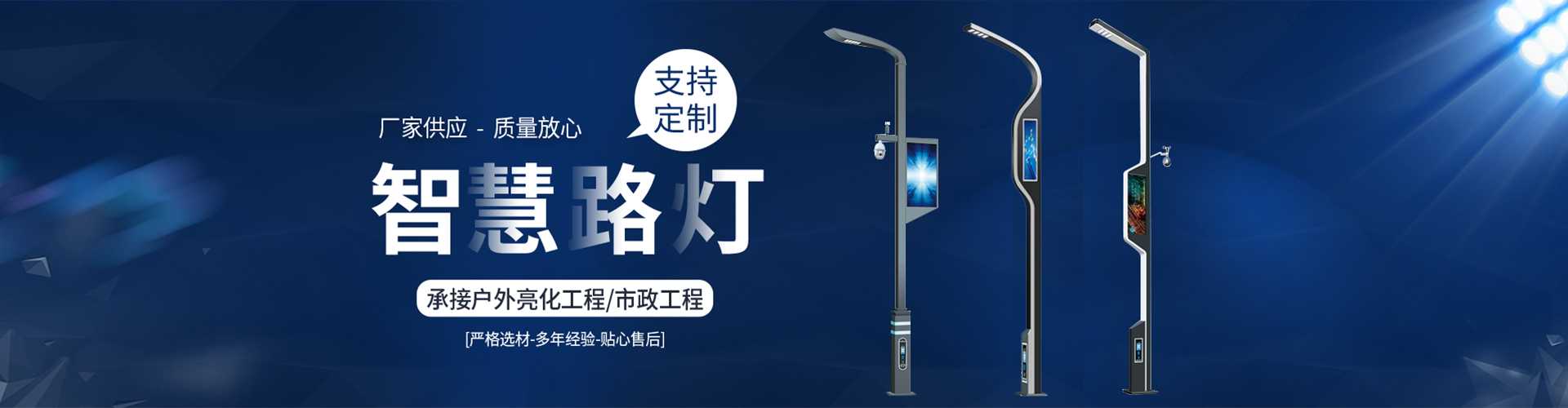 颍州区太阳能路灯定制厂家