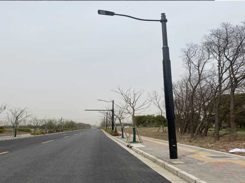 颍州区上海综合杆 太阳能路灯工程